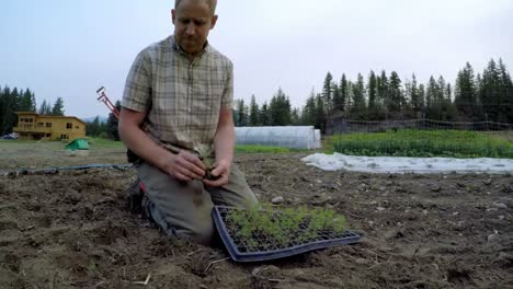 man seedlings in the farm 4k