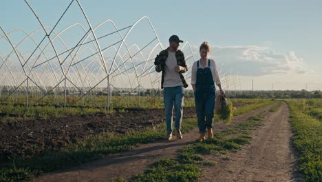 happy guy farmer in a plaid shirt communicates with his colleague girl in denim overalls while they walk along an earthen road on a farm in the evening