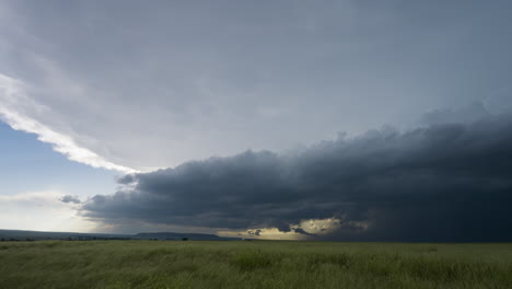 grasses blow in stormy winds as dark storm clouds threaten