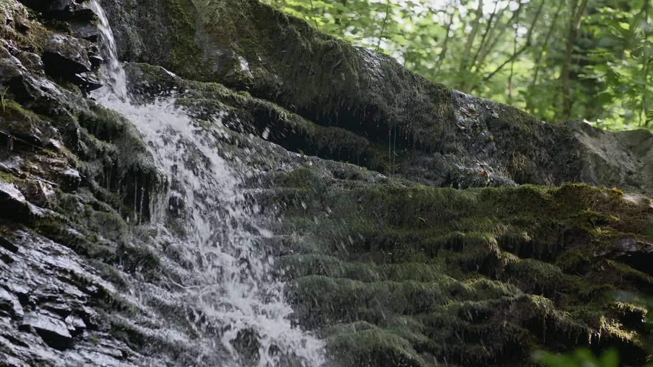 une cascade descendant des rochers mousseux dans une forêt