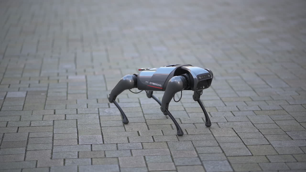 perro robot caminando, ciberperro xiaomi