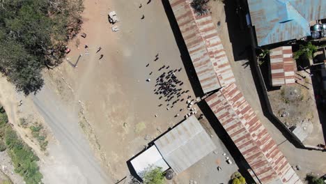 niños mirando el dron en su escuela
