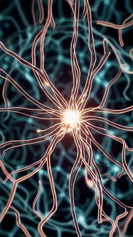 neural network structure
