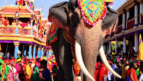 a majestic decorated elephant participating in a colorful cultural festival parade with a crowd of people.