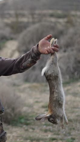 Rabbit hunting