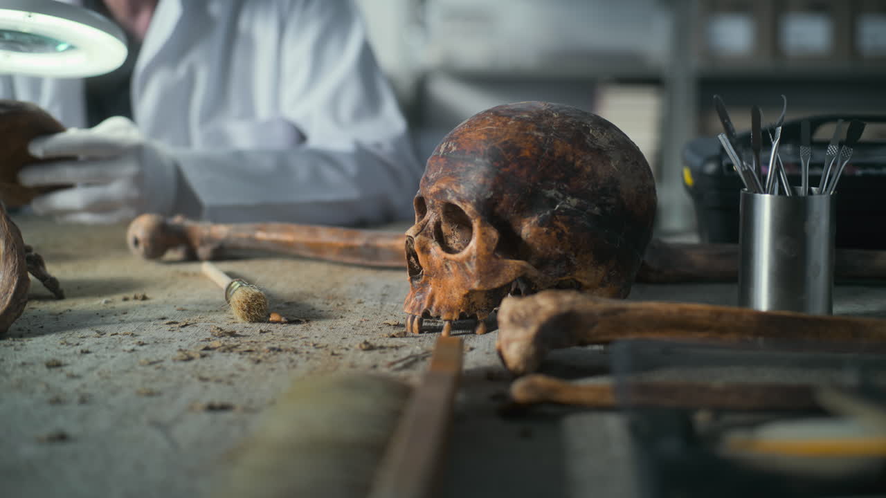 археологические исследования в лаборатории