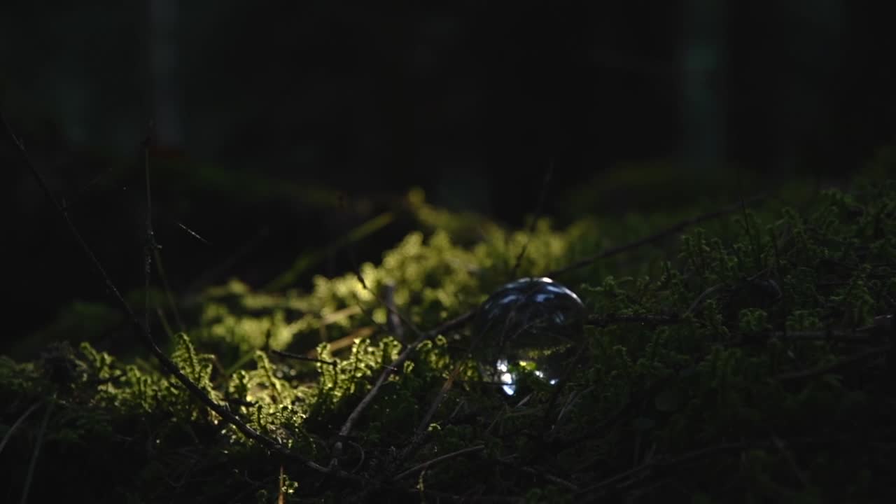 lasso di tempo di una sfera di cristallo sul muschio in una foresta che riflette il paesaggio con luce che cambia velocemente