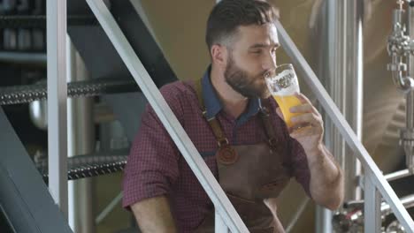 young brewer wearing a leather apron is tasting beer at a modern brewery