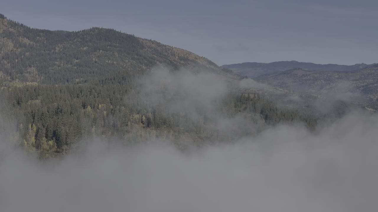 Fall's Embrace: Aerial Footage of Fog-Wrapped Forest with Trees in Autumn Attire