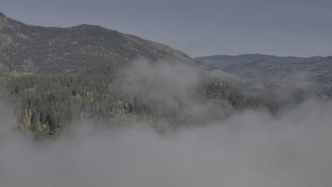 Umarmung-Des-Herbstes:-Luftaufnahmen-Eines-Nebelverhangenen-Waldes-Mit-Bäumen-In-Herbstkleidung