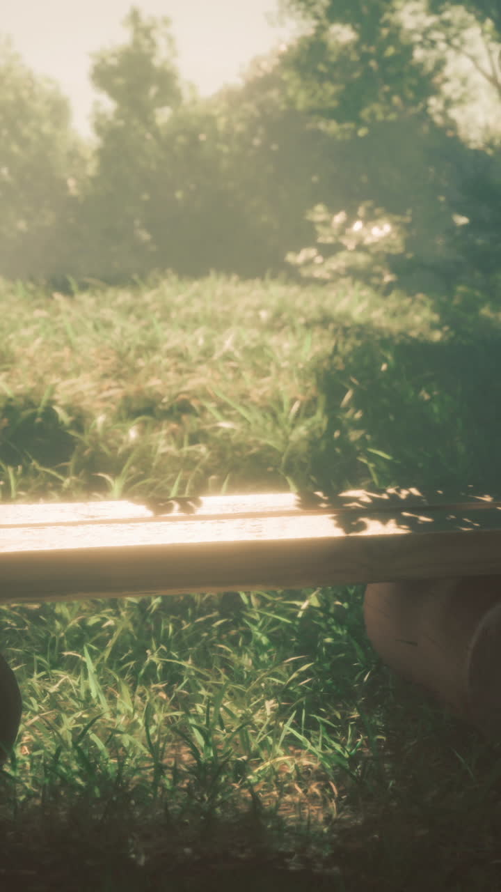 Wooden bench in a tranquil park surrounded by sunlight and greenery