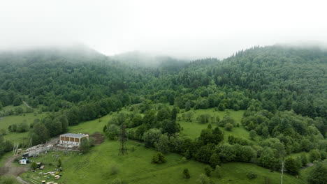 lush green forest shrouded by clouds and fog in the early morning in bakuriani, georgia