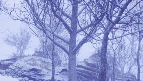 winter landscape with snow covered trees and rocky formation during a snowfall