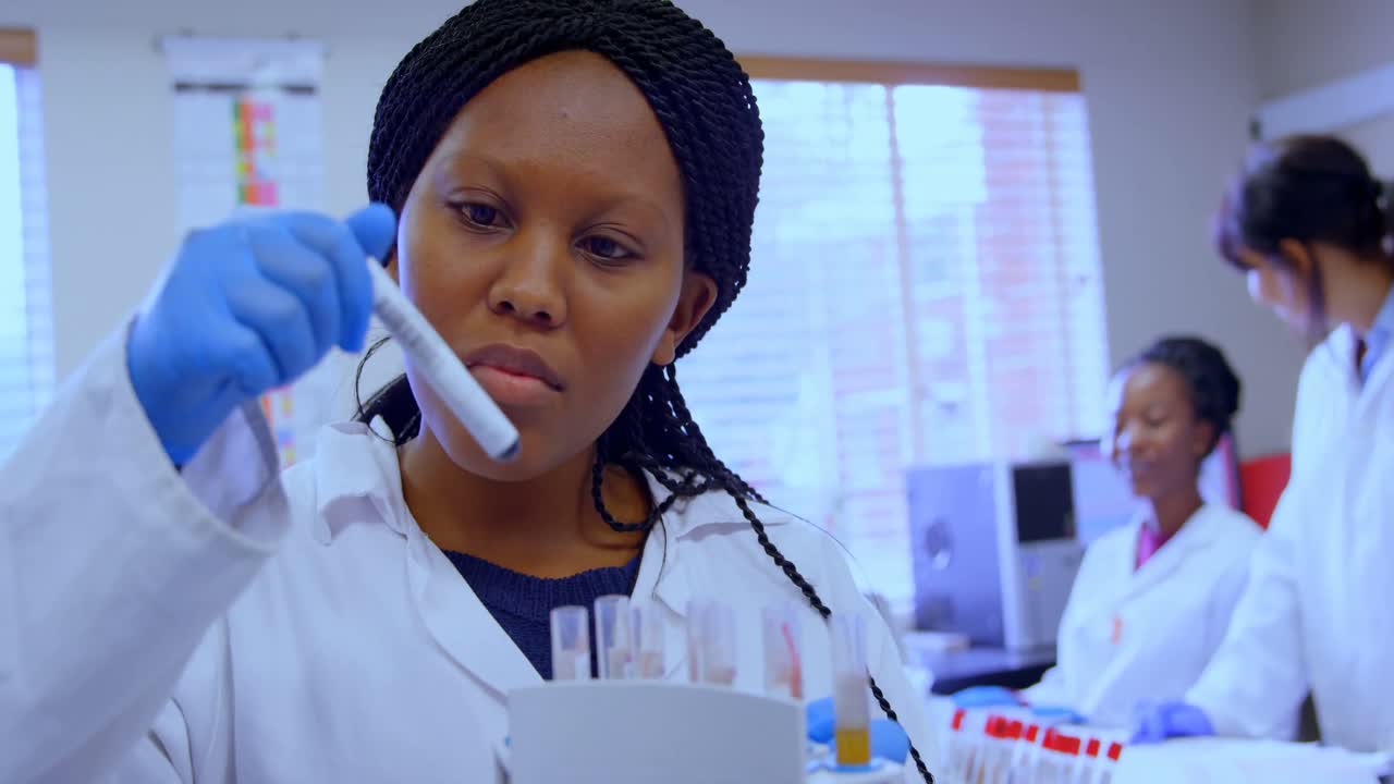 Laboratory technician checking blood sample 4k