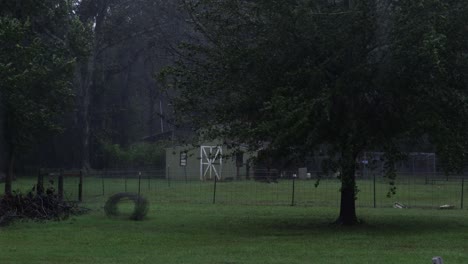 rustling leaves and branches sway in the wind during a hurricane while the rain lightly pours