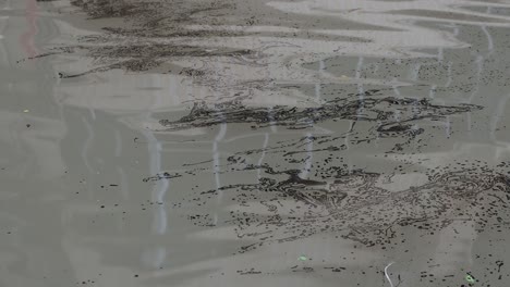 oil leakage over water on the street of kolkata,india