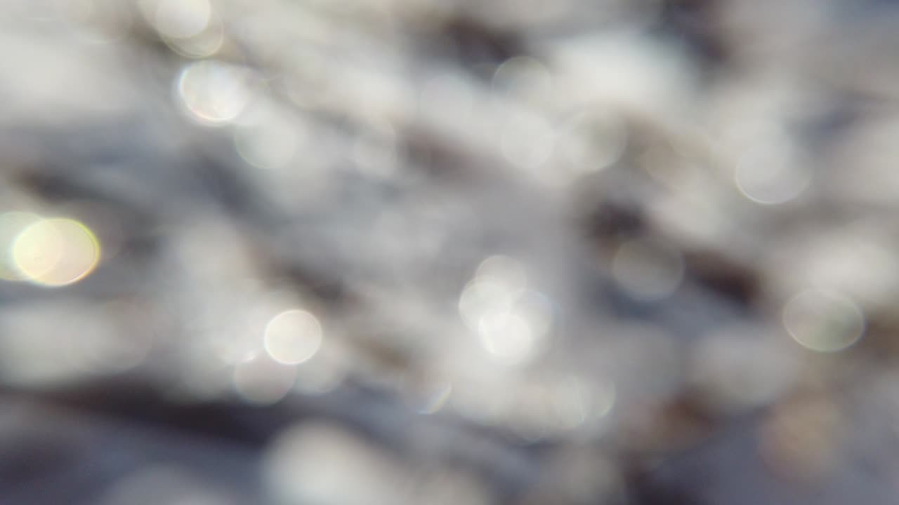 Winter forest. Abstract background. Snow and sun.