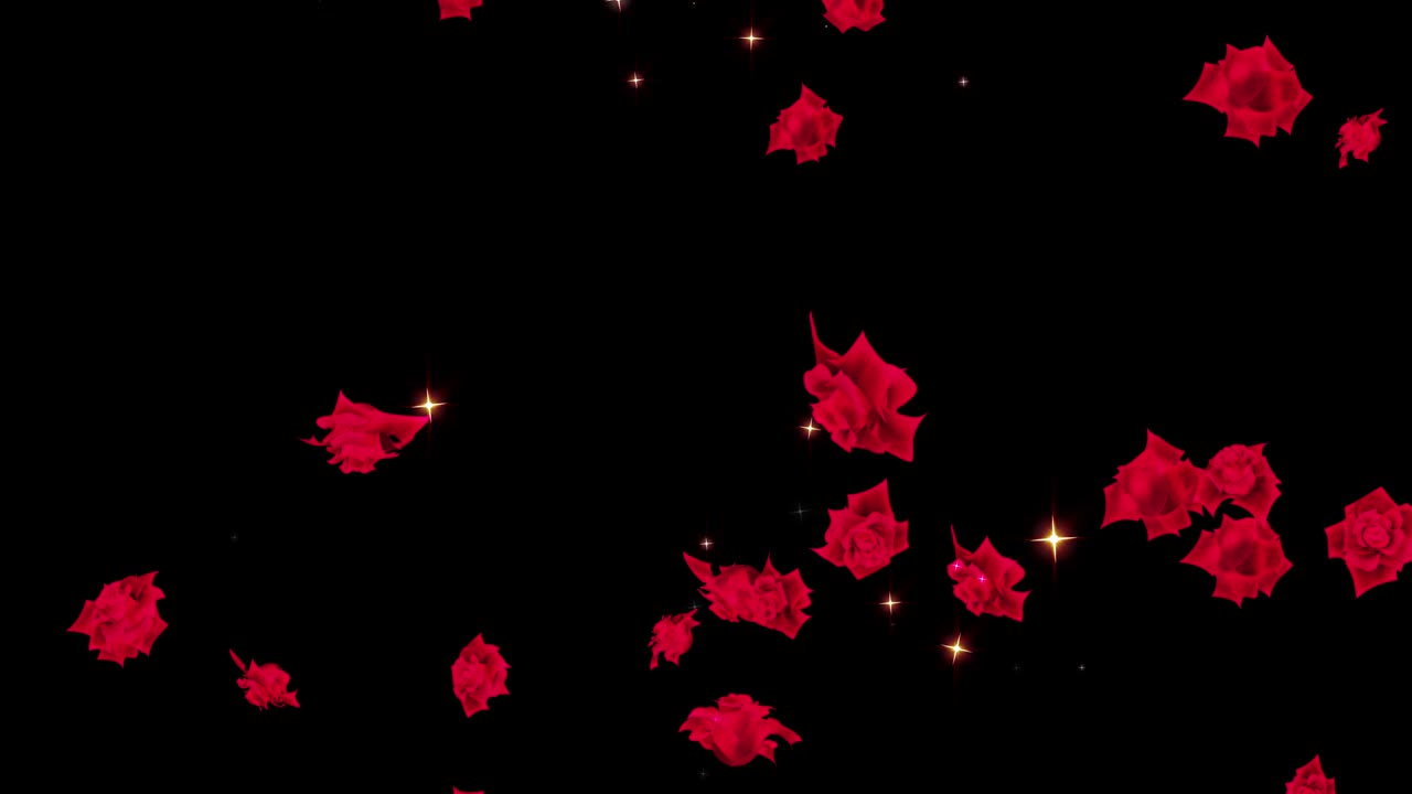 은 장미 입자 루프 애니메이션