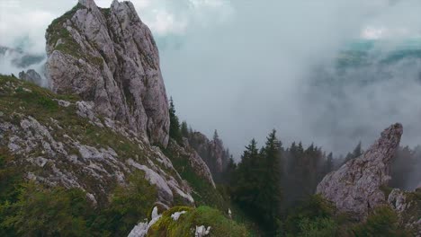 tilt-up camera movement showing a mountain valley from a cliff high up with pine forest with mist and clouds in the background