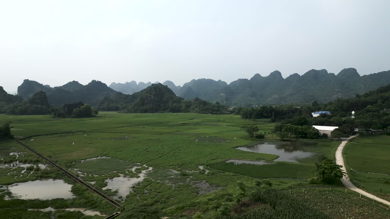 Vietnamese Rural Landscape with Rice Paddies and Mountains
