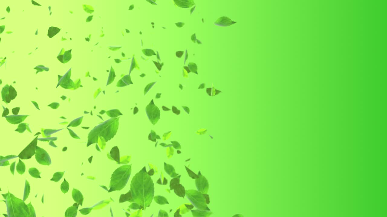 el fondo de la naturaleza soleada con hojas verdes naturales luces de sol. bucle 4k animación gráfica de movimiento.