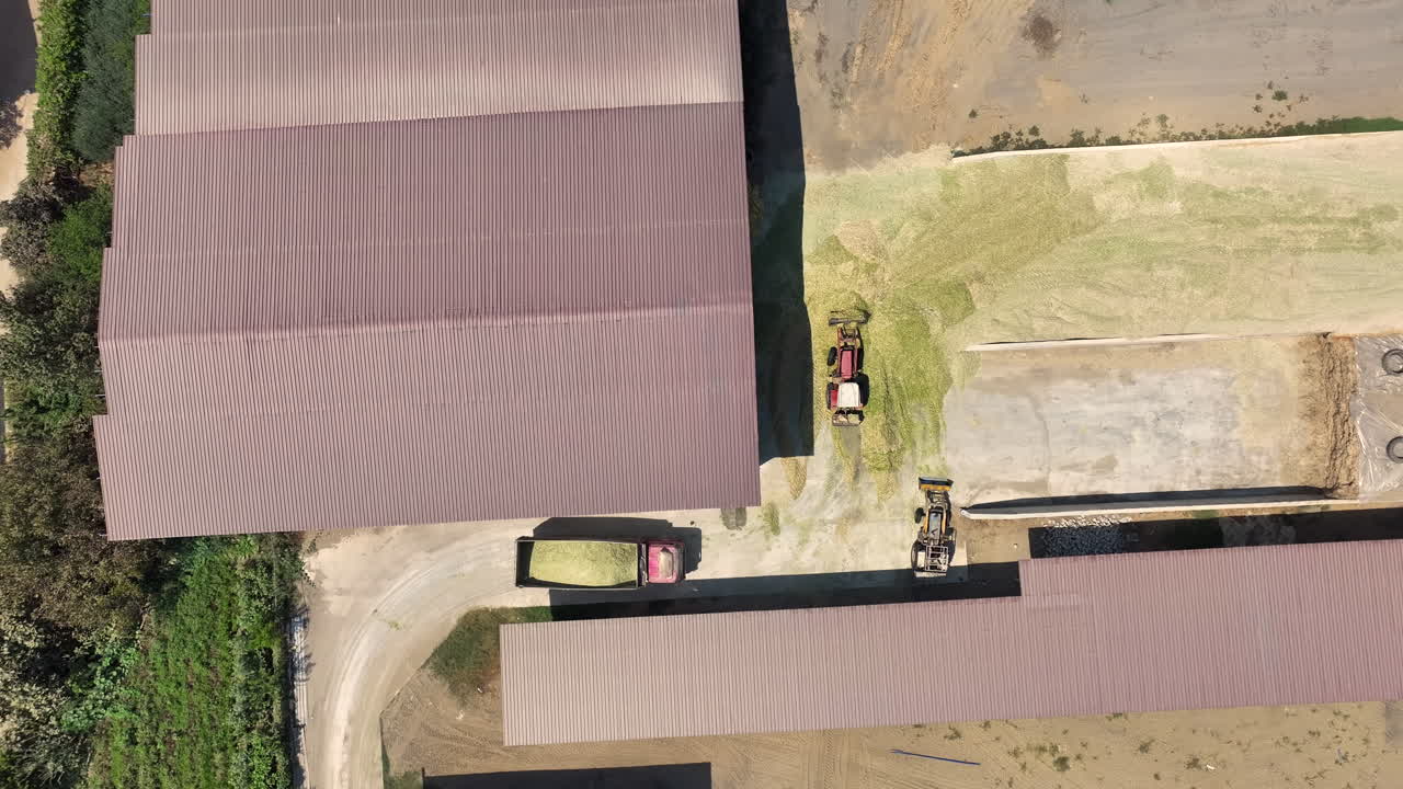 dos tractores hacen ensilado en turquía