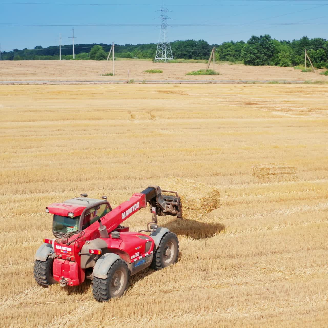 Little skid loader lifts a hay bale and takes it to the tractor. Abundant agricultural plantations with straw packs at backdrop