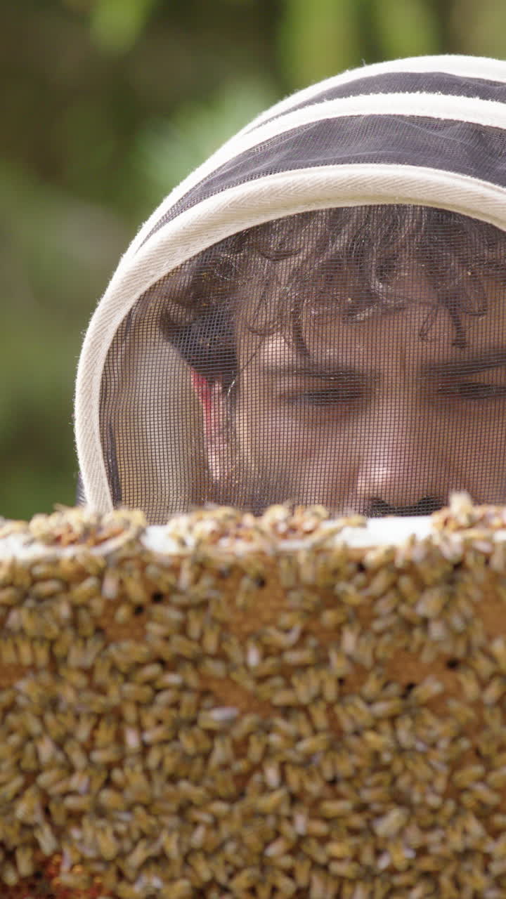 Beekeeper picks up hive frame crawling with honeybees for inspection. Vertical