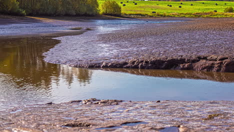 sunset on low tide river with visible wetlands near farmland