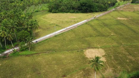 Straße-Zwischen-Grünen-Feldern-Mit-üppiger-Palmenplantage-In-Einem-Ländlichen-Dorf-Im-Südlichen-Leyte-Auf-Den-Philippinen