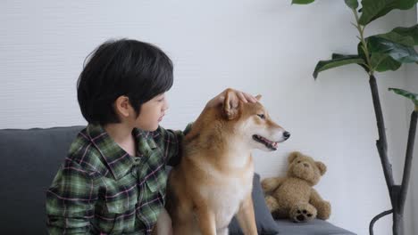 asian boy and shiba inu dog sitting on sofa