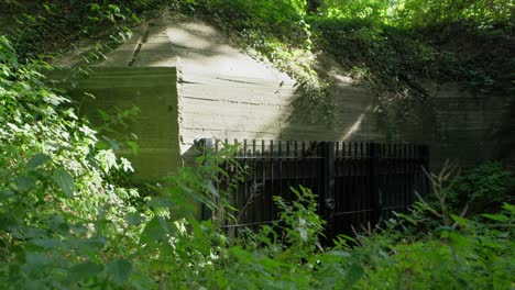 old historic concealed world war ii bunker in the middle of a dense forest, descending slow motion shot with leaves covering the bunker