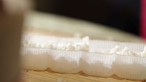 putting rice in a plastic shape cooking sushi rolls