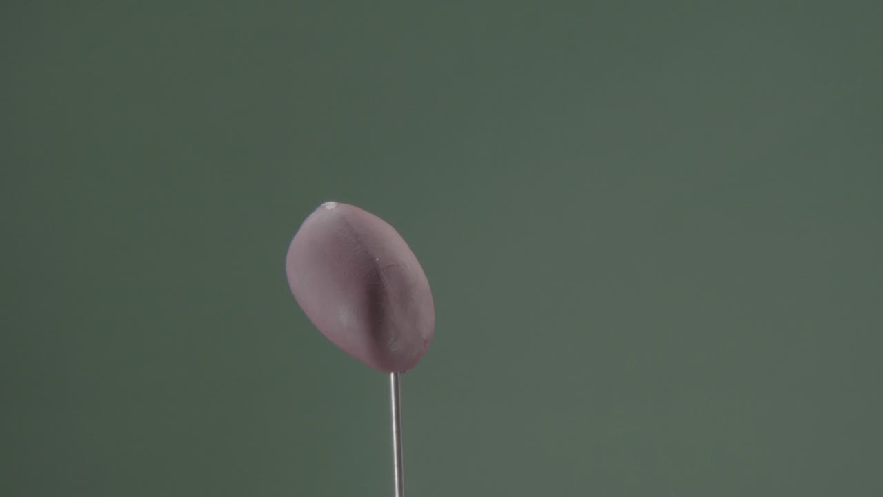 maní girando con bucle en la pantalla verde para la llave de croma