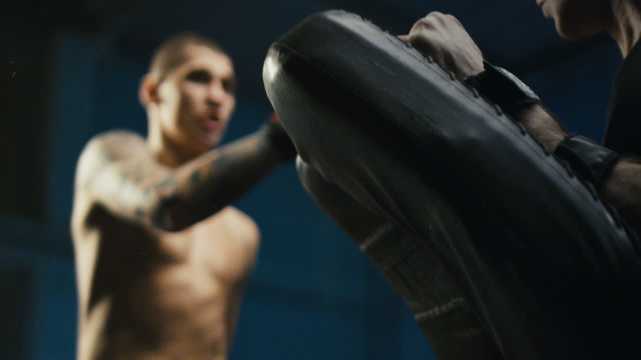 권투와 박싱 훈련