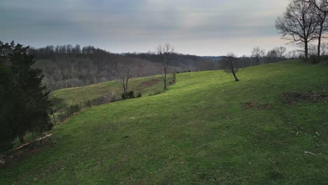 Aerial-drone-shot-of-green-cow-pasture-field-in-winter-and-early-spring-with-fence-line-and-trees