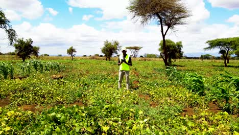 Ländliche-Landwirtschaftliche-Betriebe-In-Kenia