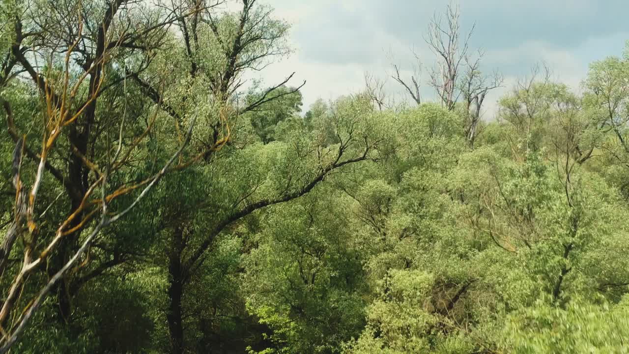 Lower altitude forwardement and after upwarding movement areial footage from a nature and its closer environment