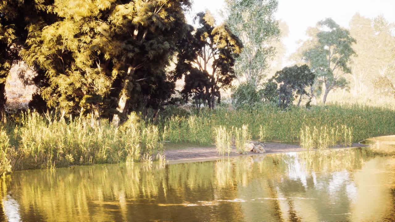 황금 시간 동안 울창한 잎자루와 반사와 함께 idyllic 강변 풍경