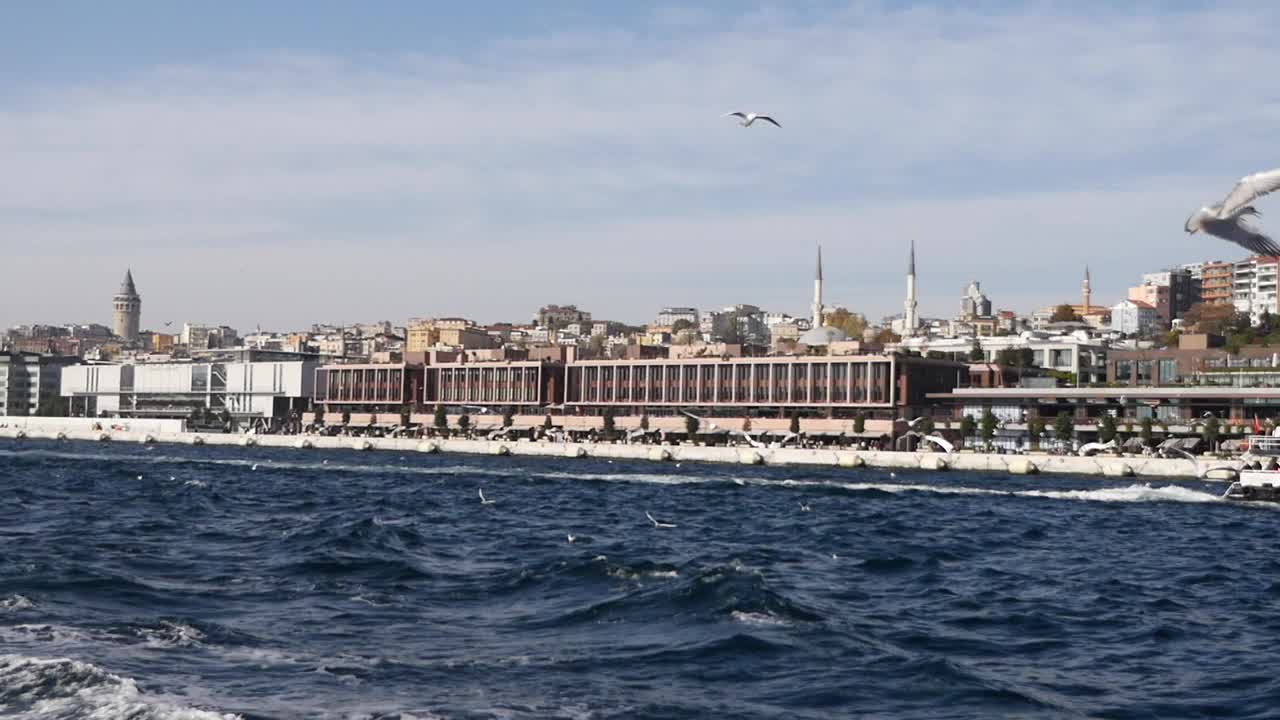 el paisaje urbano de estambul con gaviotas