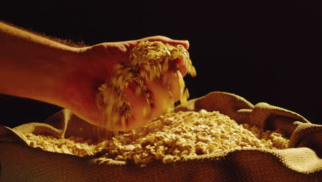 hand pouring oats into a burlap sack