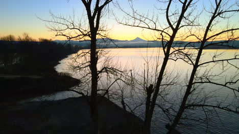 Drone-slowly-panning-to-the-right,-looking-through-trees-with-no-leaves,-showing-an-amazing-scenery-of-a-large-lake-during-sunrise