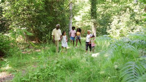 multi generation black family walking in forest, laughing