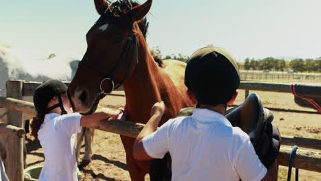 girl touching the brown horse in the ranch 4k