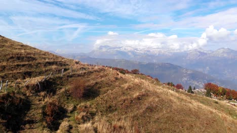 Flying-low-over-pasture-in-Slovenia,-with-view-towards-Julian-alps