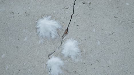 Slowmotion-closeup-of-snowballs-hiting-and-splashing-a-concrete-grey-wall-with-crack