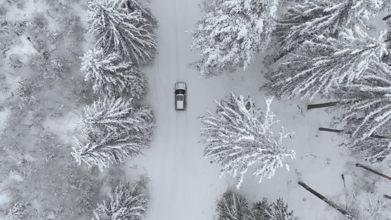 vista aérea de un camión entrando en una escena en un camino nevado en un bosque cubierto de nieve, en un día de invierno nublado - disparo de drones, disparo de seguimiento, sobrecarga