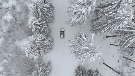 Vista-Aérea-De-Un-Camión-Entrando-En-Una-Escena-En-Un-Camino-Nevado-En-Un-Bosque-Cubierto-De-Nieve,-En-Un-Día-De-Invierno-Nublado---Disparo-De-Drones,-Disparo-De-Seguimiento,-Sobrecarga