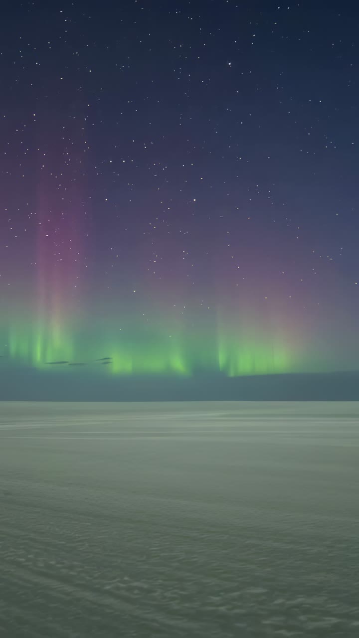 Video verticale: registrazione di un'aurora che pulsa su una pianura ghiacciata con cortine verdi e rosa e stelle