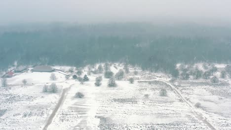 aerial: ice covered de hoge veluwe national park forest in snow fall, panning shot